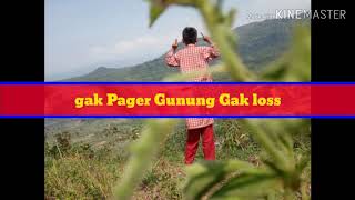 Pager Gunung Gerbo Loss
