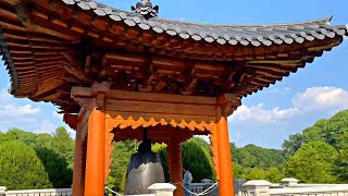 Korean Bell Garden at Meadowlark Botanical Gardens! 🇰🇷🌸🇺🇸 4K Vienna Virginia Travel  Vlog