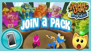 Packs Have Arrived! | Animal Jam - Play Wild