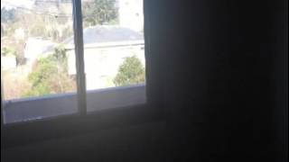 VIDEO 0412