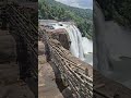 One Of the Biggest waterfall in kerla #waterfall #shorts #nature #travel