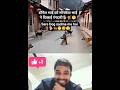dogesh bhai ko monkesh bhai ne dikhayi rangdari 🐕🐒😁🥺🫣#dog #money #viral #funny 🐕🫣🐒