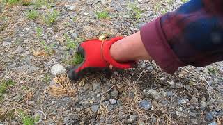 草むしりパワーネイル動画