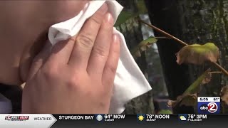 'High volume' of allergy patients seeing doctors