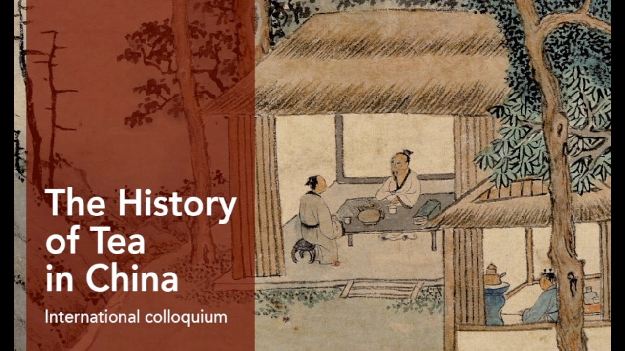 the transnational history of a chinese 全部图书分类 考试类 职业资格 会计类 工程类考试 职业资格考试 秘书资格考试 管理咨询师考试 心理咨询师考试 物流师. the transnational history of a chinese 全部图书分类 考试类 职业资格 会计类 工程类考试 职业资格考试 秘书资格考试 管理咨询师考试 心理咨询师考试 物流师.