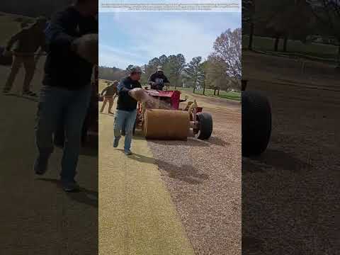 Turf Installation: Rolling Out Sod for Instant Lawn Establishment