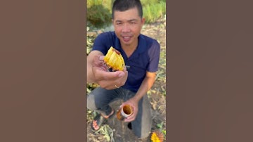 Trái khóm mùi nó ngọt ơi là ngọt luôn! #food #amthuc