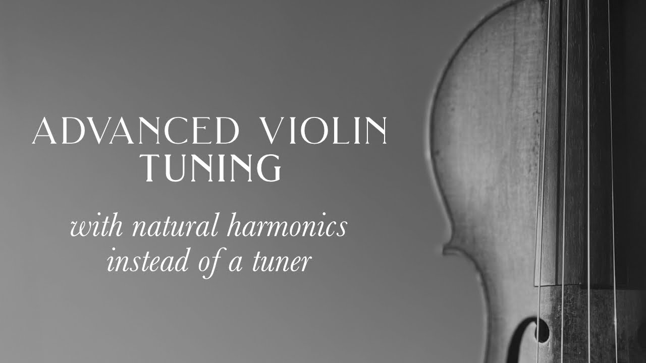 Violin intelligence overview