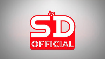 S D OFFICIAL YOUTUBE CHANNEL || INTRO || SOHAM DAVE