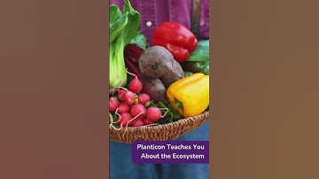 10-Year-Old Indonesian Innovator Boosts Sustainable Gardening with AI Project in Codeavour 5.0