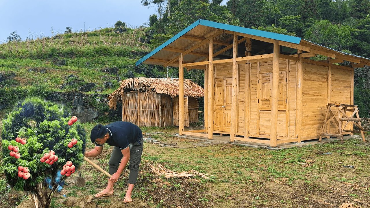 Build new life plant fruit trees find stone to build septic tank