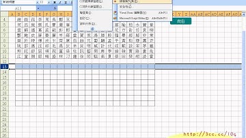 增加按鈕並將向下下移(EXCEL函數與VBA 吳老師分享)