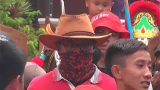 Kuda Birawa balida 2