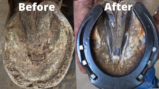 Hoof Restoration, Satisfying, Handmade