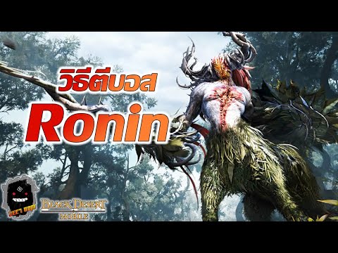 Black Desert Mobile Kr | บอสใหม่ Ronin โหดแค่ไหนมาดู !! | Cooperative punitive force: Ronin