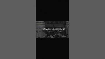 بداية سورة الأنفال - حسين آل الشيخ
