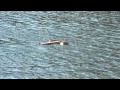 RC Powerboat crash compilation.