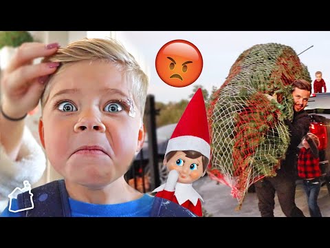 why-ollie-hates-his-elf-on-the-shelf!