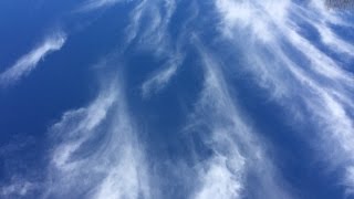 Sylphs Photos Part 1