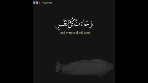 تلاوة هادئة للقارئ سعيد الخطيب