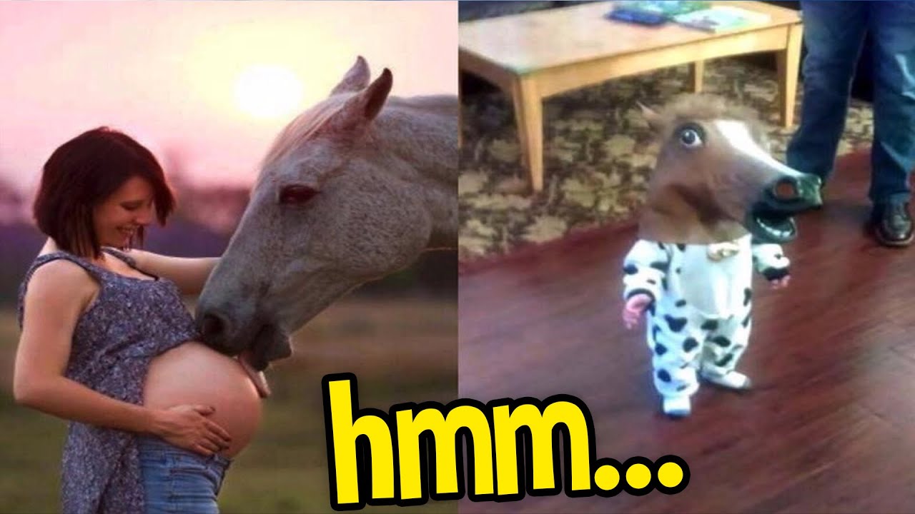 ...I shouldn't be laughing at this