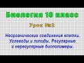 Биология 10 класс (Урок№2 - Неорганические соединения клетки. Углеводы и липиды. Биополимеры.)