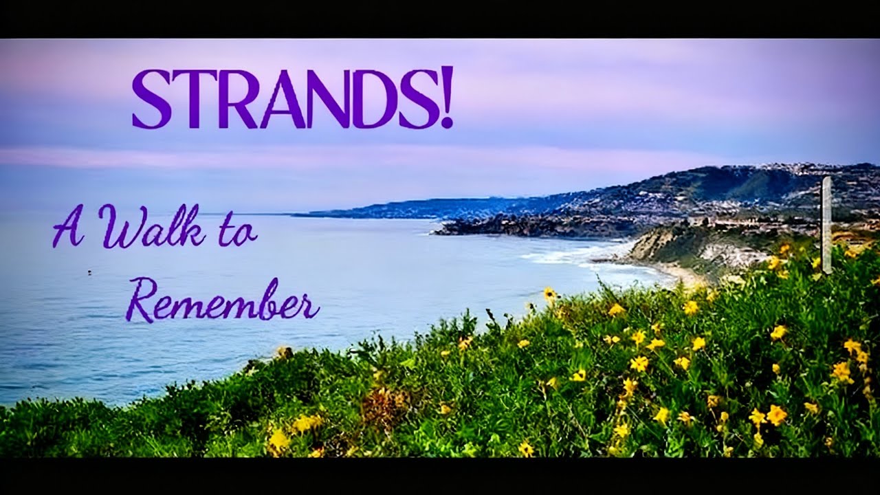  A Walk to Remember  STRANDS!  At Salt Creek, You'll Never Want to Leave ❤️Dana Point  #SoCal #beach