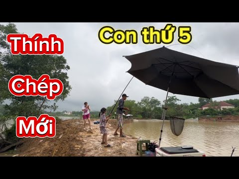 Lại Thính Chép Mới 1 Ka Làm 5 Con