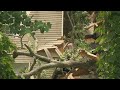Fallen tree crushes home of cancer patient | WSB-TV