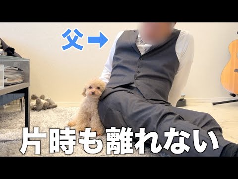 A dog's love for his father explodes with excitement after a