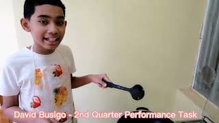 Celebrity David Busigo - 2nd Quarter Performance Task Profile