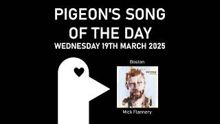 Boston - Pigeon's Song of the Day (19/03/2025)