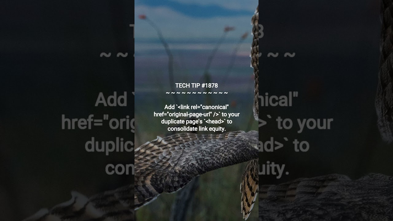 Fix Duplicate Content in SEO | 2025-12-31 | 