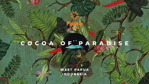 Chocolate from Paradise: Ransiki | #chocolate #cocoa #forest #papua #biodiversity 