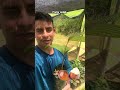 Palma exótica de salak #shortsviral #fruit