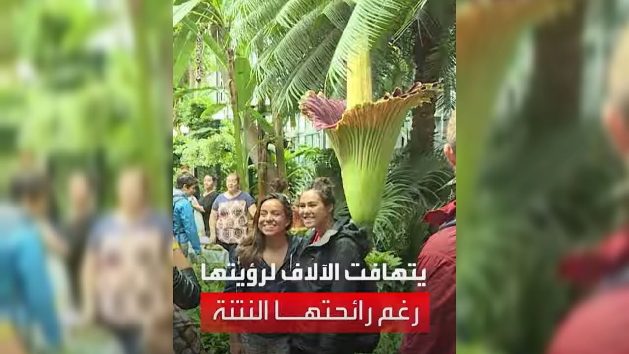 غرائب لا تصدق.. هذه 