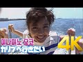 [4K] 미나미노 요코(南野陽子) - カリブへ行きたい MV 1988 4K AI Upscaling