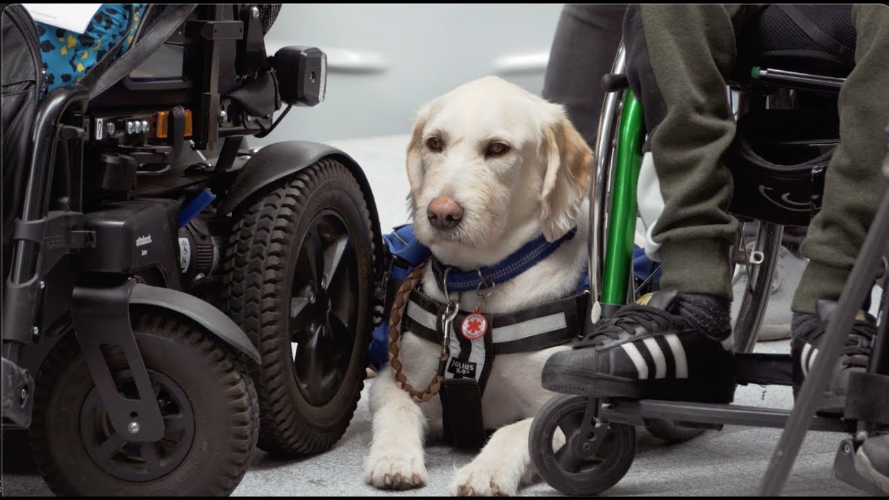 Karácsony Gergely: átadtuk az M3-as metró újabb szakaszát #Budapest