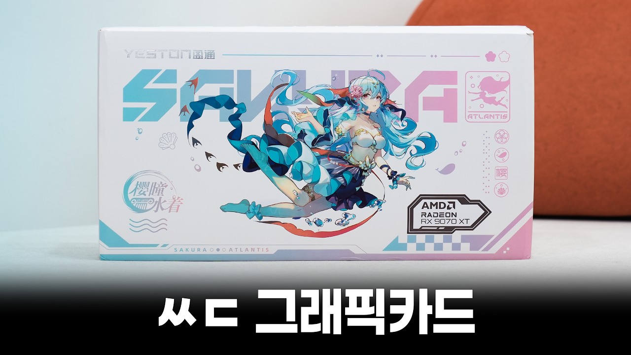ㅆㄷ 그래픽카드2