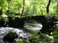 Georgia Kutaisi Imereti Region Georgia Kutaisi Imereti Region