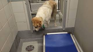 acs A665399