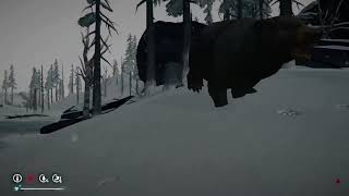 The Long Dark: Bear bug