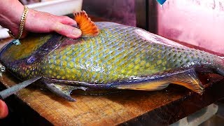 Japanese Street Food - GIANT TITAN TRIGGERFISH Sashimi Seafood Okinawa Japan