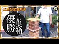 重箱式【待受け巣箱の使い方】日本みつばちの養蜂 How to Beekeeping
