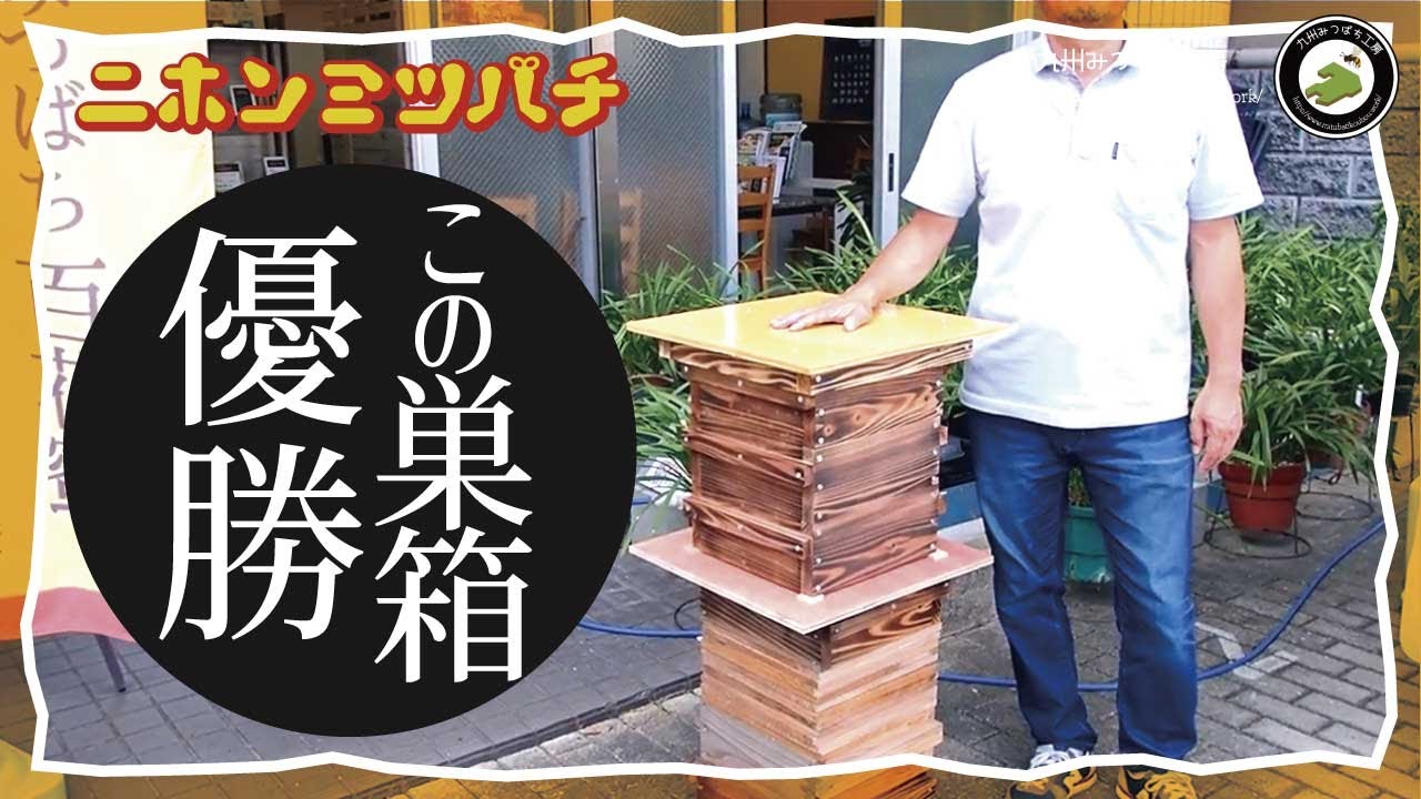 ニホンミツバチ　日本蜜蜂　焼杉　重箱式巣箱　待ち箱　養蜂