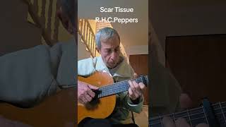 Scar Tissue/R.H C.Peppers #guitar #fingerstyle #scartissue#music #redhotchilipeppers #