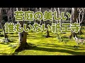 風に吹かれて街歩き　苔庭の美しい誰もいない祇王寺　Sony RX100VII for travel & vlogging