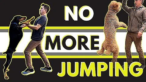 Super simple way to stop a dog from jumping.