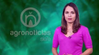 TITULARES AGRONOTICIAS sie7e PROGRAMA 34