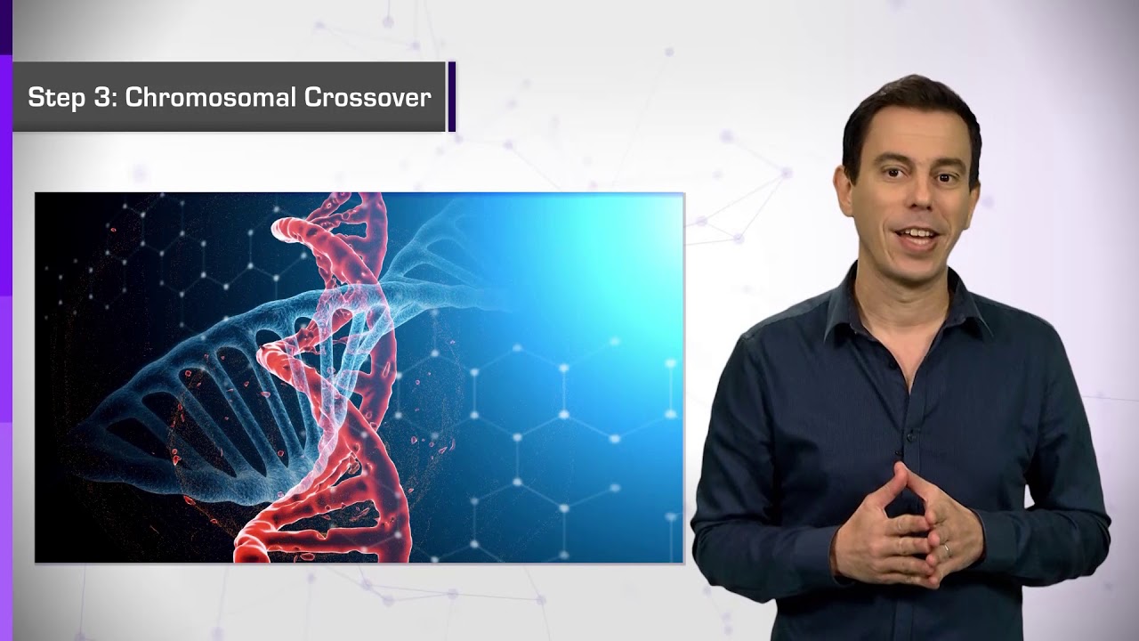 6.3.B. Artificial Intelligence in Medicine - Genetic Algorithms - YouTube